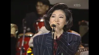 채은옥(Chae Eunok) - 하얀 나비 [꿈의 콘서트] | KBS 19931105 방송