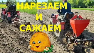 Нарезка борозд, посадка картофеля 2023