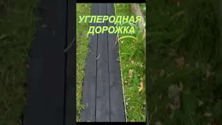 ДОРОЖКА ИЗ УГЛЕРОДА