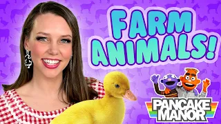 Farm Animals for Kids and Toddler Learning - Old MacDonald Had a Farm and More!