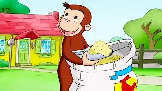 Curious George 🐵For The Birds 🐵Kids Cartoon 🐵Kids Movies 🐵Videos for Kids