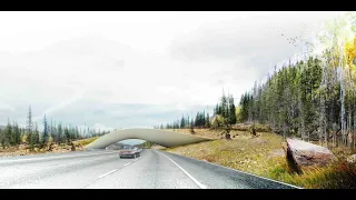 Wildlife crossings Vail Colorado USA - ZJA