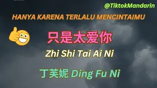 Lagu Mandarin SEDIH!!! Zhi Shi Tai Ai Ni只是太爱你  Hanya Karena Terlalu Mencintaimu 丁芙妮 Ding Fu Ni  动态歌词