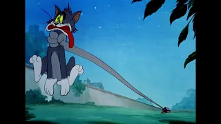 Tom and Jerry 2021| Jerry Tricks Tom Into An Angry Dog's House | Try Not To Laugh| Comedy