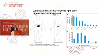 Что изменилось в клинических рекомендациях: рак поджелудочной железы, ГЦР и ХЦР