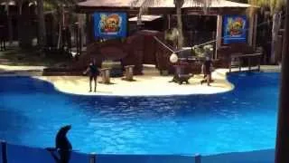 Fuerteventura - Zoo/Sea Lion Show 7