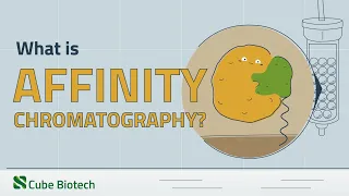 Affinity Chromatography Explained