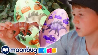 Giant Dinosaur Toy Eggs! | Jurassic Tv | Dinosaurs and Toys | T Rex Family Fun