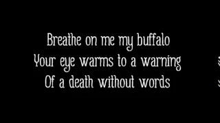 Alt-J (∆) - Buffalo feat. Mountain Man (Lyrics on Screen)