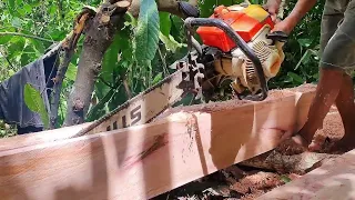 Making Wooden Board Size 2,5 cm x 25 cm - Chainsaw 070