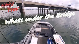 What's under the Bridge