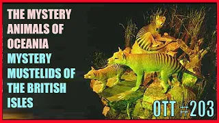 OTT #203: Mystery Animals of Oceania; WWN 2013; Mystery Mustelids of Britain