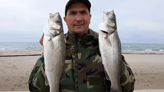 Spigole dalla Spiaggia, Come Scegliere lo Spot di Pesca...