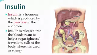 Type 2 Diabetes and Public Health: Correlates and Prevention