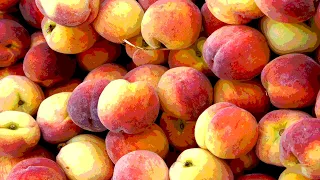peaches but every time he says peaches a vine boom plays