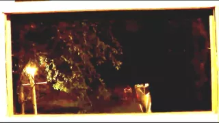 Bigfoot Caught looking in window 2015 enhanced Breakdown