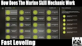 Russian Fishing 4, How Does The Marine Skill Leveling Mechanic Work, Fast Leveling