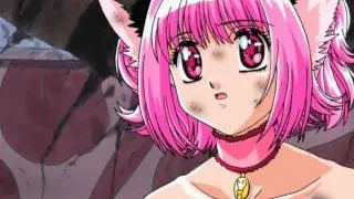 Elya Chavez - Neposedy (AMV Tokyo Mew Mew)