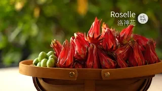 Autumn ruby ​​| Sugared Roselle