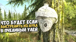 Что Будет Если Выстрелить в Улей Из Лука? Skyrim 1440p