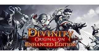 Let's Play Divinity : Original Sin - Enhanced Edition - Episode 013 - Bairdotr, Daughter of Bears