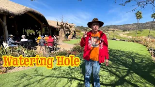 Watering Hole Safari Adventure San Diego Zoo Safari Park 2024