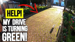 Pressure Washing This MOULDY Driveway is Oddly Satisfying
