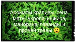 Необычные травяные ароматы 🌿🍃🍀