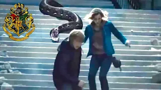 Harry Potter: “Nagini Chases Ron & Hermione” (Deleted / Extended Scenes)