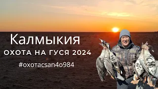 ОТКРЫТИЕ ВЕСЕННЕГО СЕЗОНА ОХОТЫ НА ГУСЯ. Р. КАЛМЫКИЯ 2024. УДАЧНАЯ ОХОТА В СТЕПИ.🔥🔥🔥#охотасsan4o984