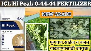 ICL HI PEAK 00-44-44 FERTILIZER | icl Hi Peak 00:44:44 |#icl |icl fertilizer