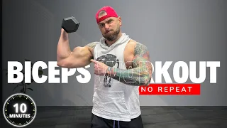 10 Minute Workout NO REPEAT Bicep Workout With Dumbbells BURNOUT (works with light weights)