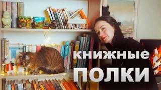 Мои КНИЖНЫЕ ПОЛКИ | Роскошь и позор 📚