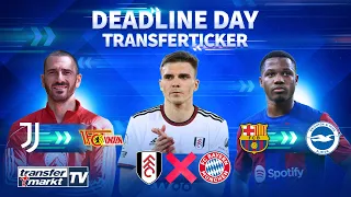 Palhinha-Deal zu Bayern geplatzt / Union holt Bonucci / Brighton leiht Barças Fati | TRANSFERMARKT