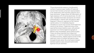 Petrous Apex