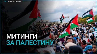 Протесты в поддержку палестинцев продолжаются в разных странах мира