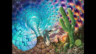 Terence Mckenna - Psychedelics And Their Effect On Religious Beliefs