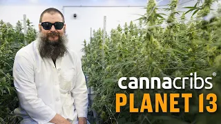 Largest Cannabis Dispensary in World: Planet 13, Las Vegas