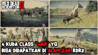 RDR2 | TIPS RDR2 | 4 KUDA CLASS "WAR" YG BISA DIDAPATKAN DI ALAM LIAR RDR2