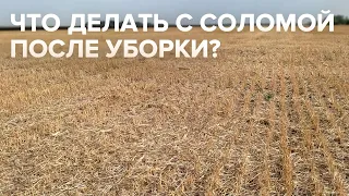 Что делать с соломой после уборки?