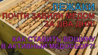 ЗАБИЛИ ЛЕЖАКИ МЁДОМ ЗА ДВА ДНЯ ОГРАНИЧИВАЮТ МАТКУ готовлю лежаки под мёд расширяю даю вощину 😳☝️🐝