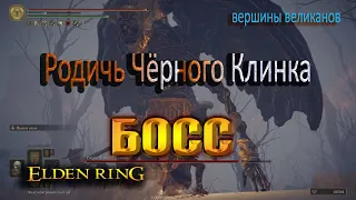 Родич черного клинка  ELDEN RING