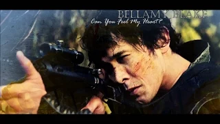 Bellamy Blake | Can You Feel My Heart?