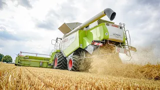 Gersten Ernte | Mähdrescher | Ernte | 3x Claas lexion | Agrar Phil