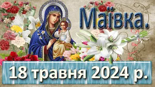 Маївка 18 травня  2024 р.