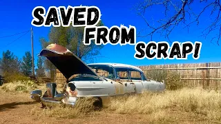 1955 Cadillac Abandoned in a junkyard for 60 years! will it run?