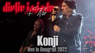 Divlje Jagode ft. Tifa - Konji (Live in Beograd 2022)