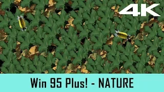 Windows 95 Plus! Screensaver - Nature (4K)