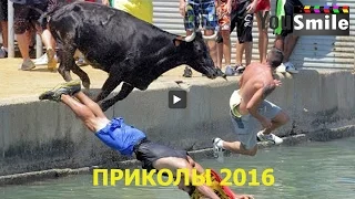 Лучшие Приколы 2016, #113 Смотреть видео приколы, Везунчики, Лучшие моменты, Повезло, Избежал смерть