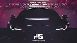 Hr. Troels x Felix Schorn - Down Low (Official Audio HD)